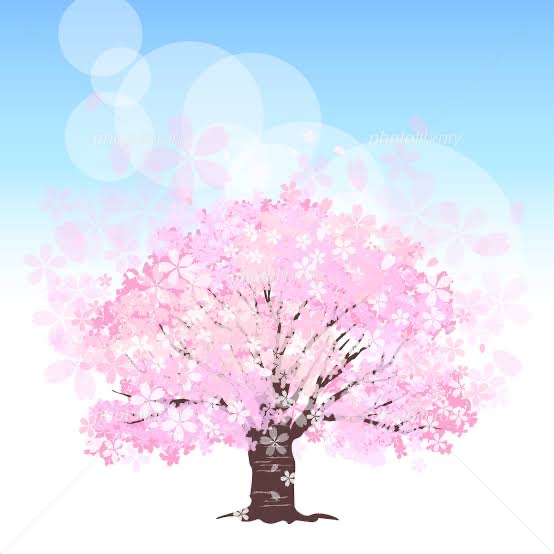 花見のシーズン！